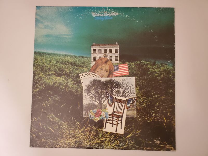 Wings Wild Life vinyl record